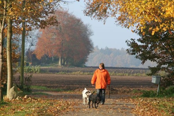Natur Pur